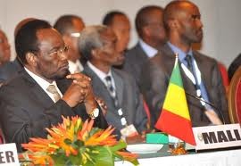 ECOWAS akan cepat menggelarkan pasukan ke Mali dan Guinea-Bissau - ảnh 2