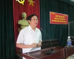 Perancangan penataan kembali kepemilikan sawah untuk membangun pedesaan baru di ibu kota Hanoi - ảnh 3