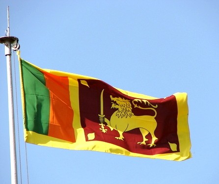 Kemlu Vietnam dan Sri Lanka mengadakan Konsultasi Politik kali pertama - ảnh 1