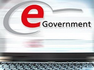 Terus mencari solusi bagi E-Government Vietnam - ảnh 1