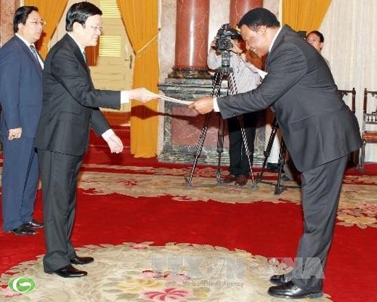 Presiden Truong Tan Sang menerima Duta Besar Singapura - ảnh 1