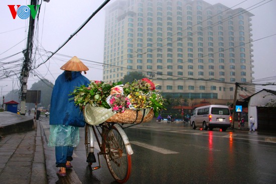 Pasar bunga Quang An yang ramai - ảnh 4