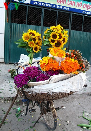 Pasar bunga Quang An yang ramai - ảnh 6