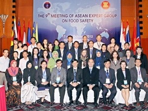 Kelompok pakar ASEAN mengadakan sidang tentang keselamatan bahan makanan - ảnh 1