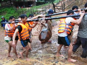 Bersama-sama mengatasi akibat bom dan ranjau pasca perang - ảnh 1