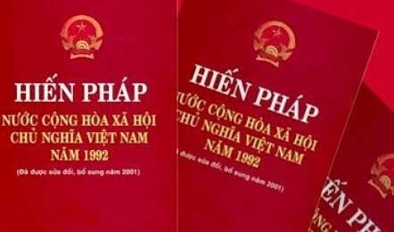 Diaspora Vietnam di Perancis memberikan sumbangan pendapat kepada Rancangan Amandemen UUD 1992 - ảnh 1