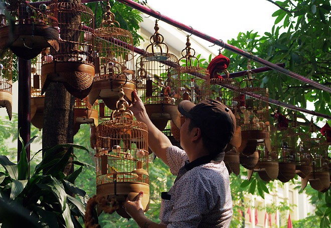 Hobi memelihara burung hias dari orang Hanoi - ảnh 4