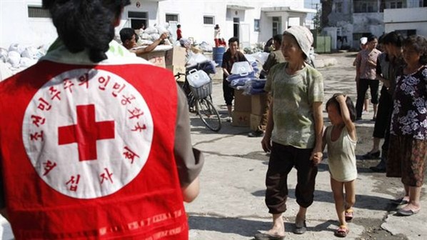 Republik Korea memulihkan bantuan kemanusiaan kepada RDR Korea - ảnh 1