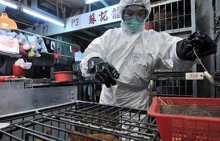 Tiongkok mengkonfirmasikan lagi dua orang yang terkena virus flu tipe H7N9 - ảnh 1