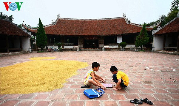 Musim panenan di desa kuno Duong Lam - ảnh 11