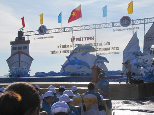 Rapat umum menyambut Pekan Laut dan Pulau Vietnam tahun 2013 - ảnh 1