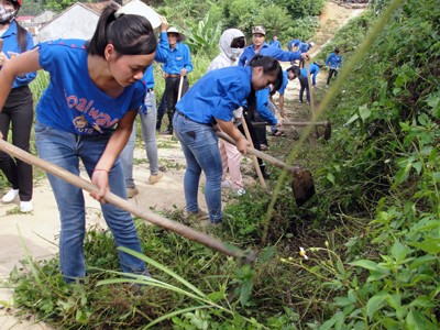 Mahasiswa sukarelawan ibukota Hanoi ikut membangun pedesaan baru - ảnh 1