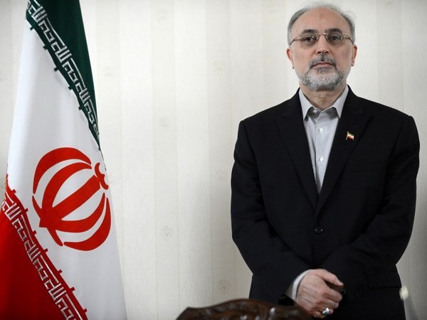 Iran mengajukan rekomendasi kerjasama nuklir dengan negara-negara di kawasan Teluk - ảnh 1