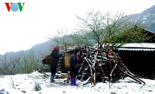 Salju turun di daerah pegunungan Vietnam Utara - ảnh 6