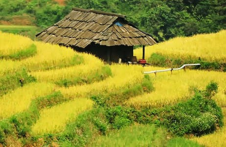 Mong, etnis minoritas istimewa dalam komunitas etnis-etnis Vietnam - ảnh 2