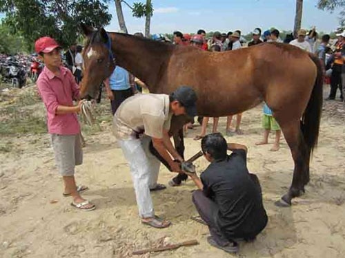 Pesta balapan kuda dari rakyat etnis minoritas Mong - ảnh 2