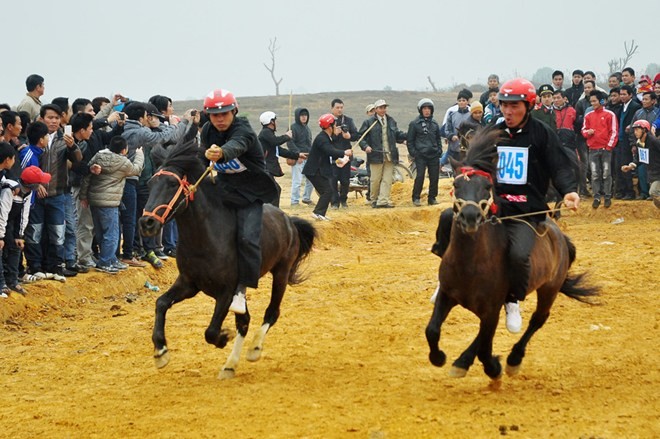 Pesta balapan kuda dari rakyat etnis minoritas Mong - ảnh 1
