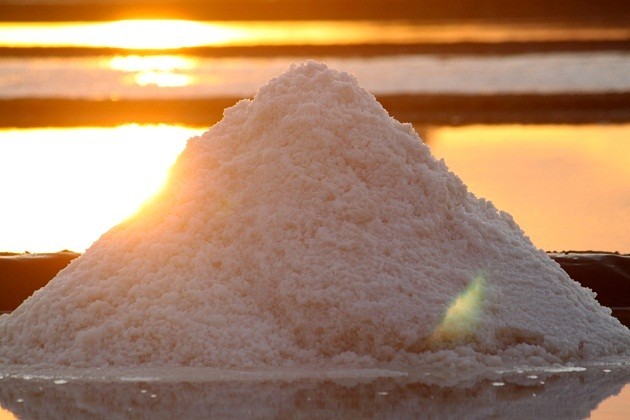 Profesi membuat garam di Vietnam Selatan - ảnh 9
