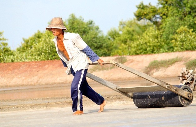 Profesi membuat garam di Vietnam Selatan - ảnh 2