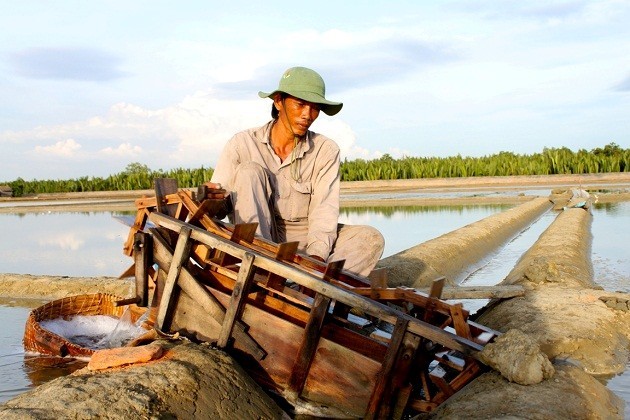 Profesi membuat garam di Vietnam Selatan - ảnh 3