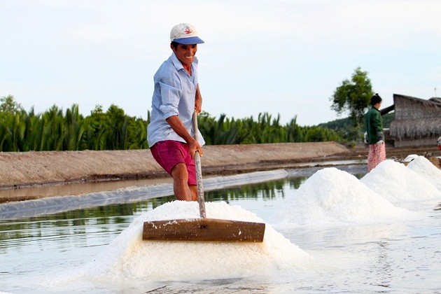 Profesi membuat garam di Vietnam Selatan - ảnh 4