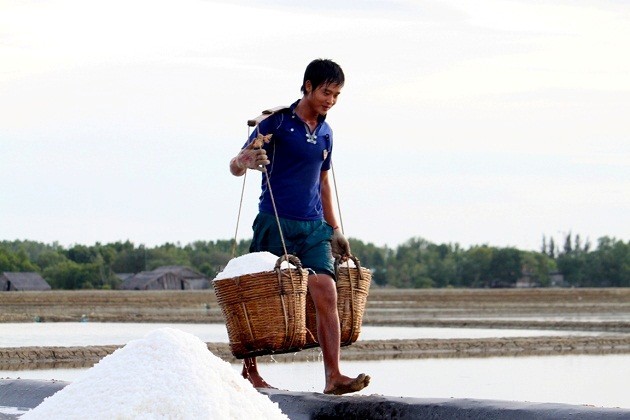 Profesi membuat garam di Vietnam Selatan - ảnh 6