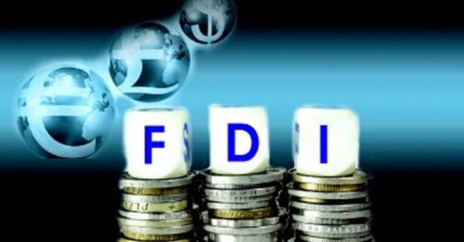 Mengumumkan laporan tentang aktivitas produksi dan bisnis badan usaha FDI tahapan 2000-2013 - ảnh 1