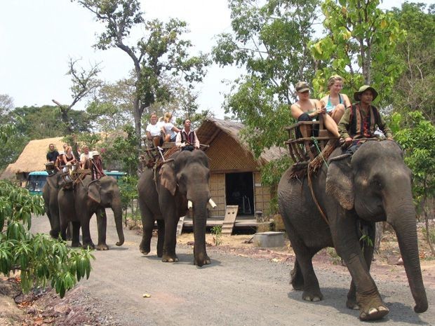 Kerja menjinakkan gajah dari warga etnis minoritas M’Nong - ảnh 3