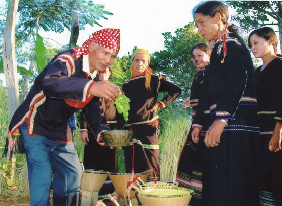 Organisasi komunitas dan hukum adat warga etnis minoritas M’Nong - ảnh 3