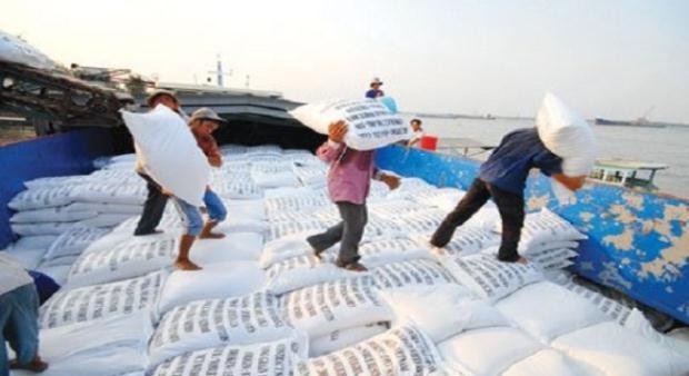 Vietnam memenangkan tender menjual 200.000 ton beras kepada Filipina - ảnh 1
