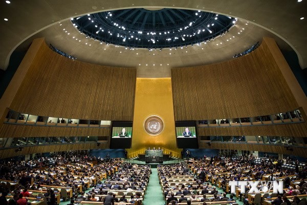 Konferensi Tingkat Tinggi PBB tentang iklim mengesahkan Pernyataan tentang Hutan - ảnh 1