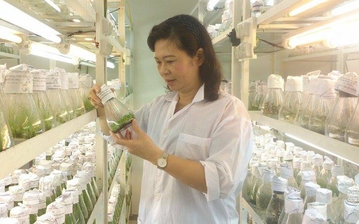 Doktor Ha Thi Thuy: Menyediakan kegandrungan ilmu pengetahuan pada bibit-bibit pohon - ảnh 1