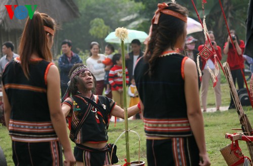 Pesta unik tentang adat memohon ketenteraman warga etnis minoritas Bana - ảnh 1