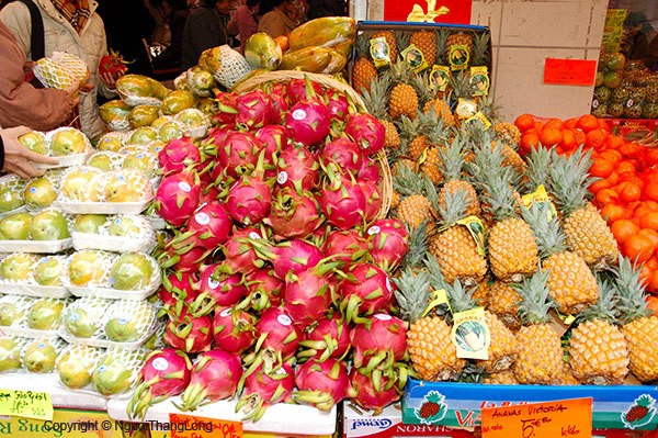 Prospek ekspor buah-buahan Vietnam - ảnh 1