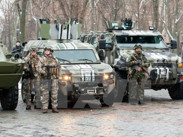 Jerman melakukan persiapan untuk Konferensi Keamanan Munich ke-51 - ảnh 1