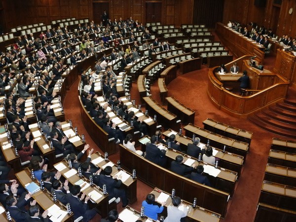 Majelis Tinggi Jepang mengesahkan satu Resolusi anti terorisme - ảnh 1
