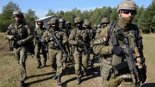 Ukraina mendirikan pasukan militer bersama dengan Polandia dan Lithuania - ảnh 1