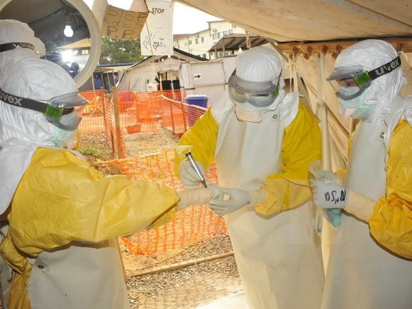 Kuba menyatakan menyelesaikan misi internasional tentang menanggulangi Ebola di Afrika - ảnh 1
