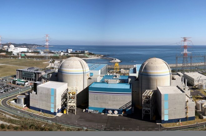 Amerika Serikat dan Republik Korea mencapai permufakatan tentang kerjasama energi nuklir - ảnh 1