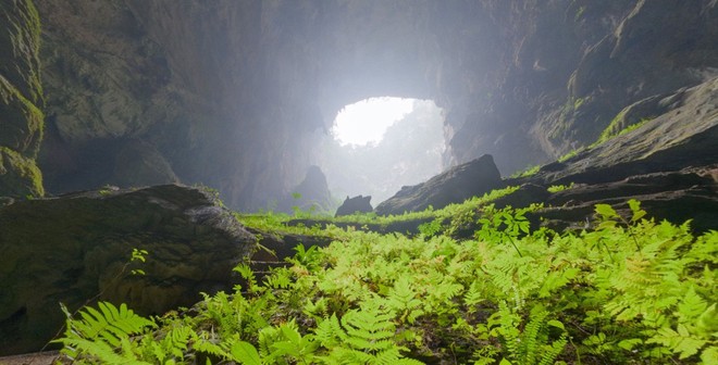 Foto-foto tentang gua Son Doong - Gua yang paling besar di dunia - ảnh 11