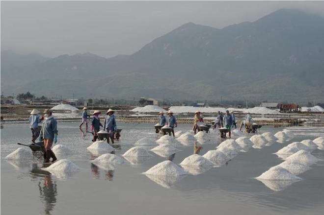 Hon Khoi - Lumbung garam yang paling besar di Vietnam Tengah - ảnh 1
