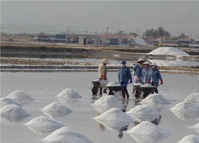 Hon Khoi - Lumbung garam yang paling besar di Vietnam Tengah - ảnh 3
