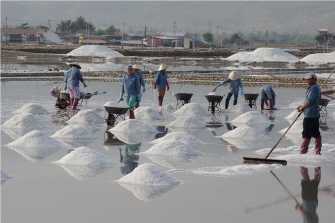 Hon Khoi - Lumbung garam yang paling besar di Vietnam Tengah - ảnh 5