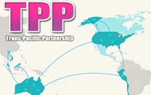 Pembukaan Konferensi Menteri Perdagangan negara-negara peserta perundingan TPP - ảnh 1