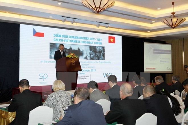 Badan-badan usaha Czech menaruh perhatian pada lingkungan investasi dan bisnis di Vietnam - ảnh 1