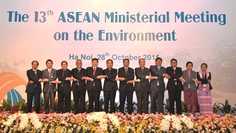 Negara-negara ASEAN bekerjasama mencegah situasi kebakaran hutan dan kabut asap - ảnh 1