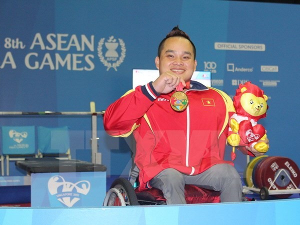 Kontingen olahraga penyandang disabilitas Vietnam merebut 15 medali emas dalam ASEAN Paragames 8 - ảnh 1