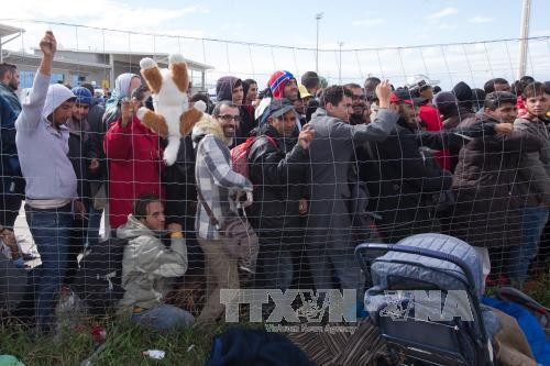 Ratusan migran Afrika menerobos pagar gawat berduri masuk Spanyol - ảnh 1
