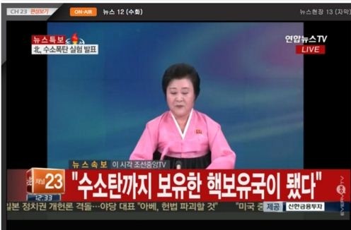 Banyak negara mencemaskan pengumuman RDR Korea tentang uji  bom hidrogen - ảnh 1