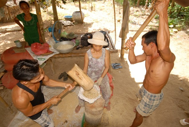 Emping pipih dari warga etnis minoritas Khmer - ảnh 2